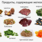 Анемия продукты с железом для пополнения организма