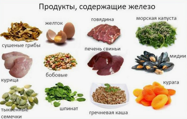 Анемия продукты с железом для пополнения организма